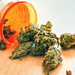 Cannabis 7 usages thérapeutiques