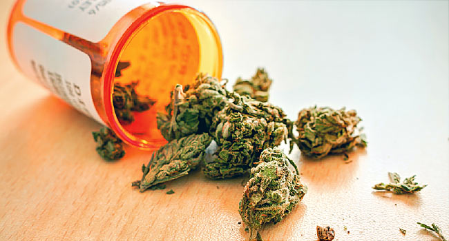 Cannabis 7 usages thérapeutiques