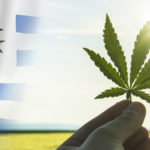 Uruguay : exportation exceptionnelle de cannabis
